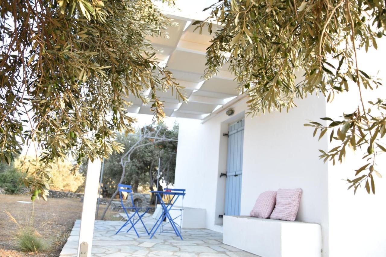 Villa Filitsa Platis Gialos  エクステリア 写真